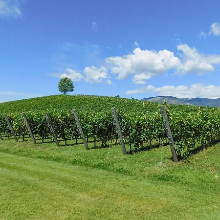 度假居 2 Bedroom Amazing In